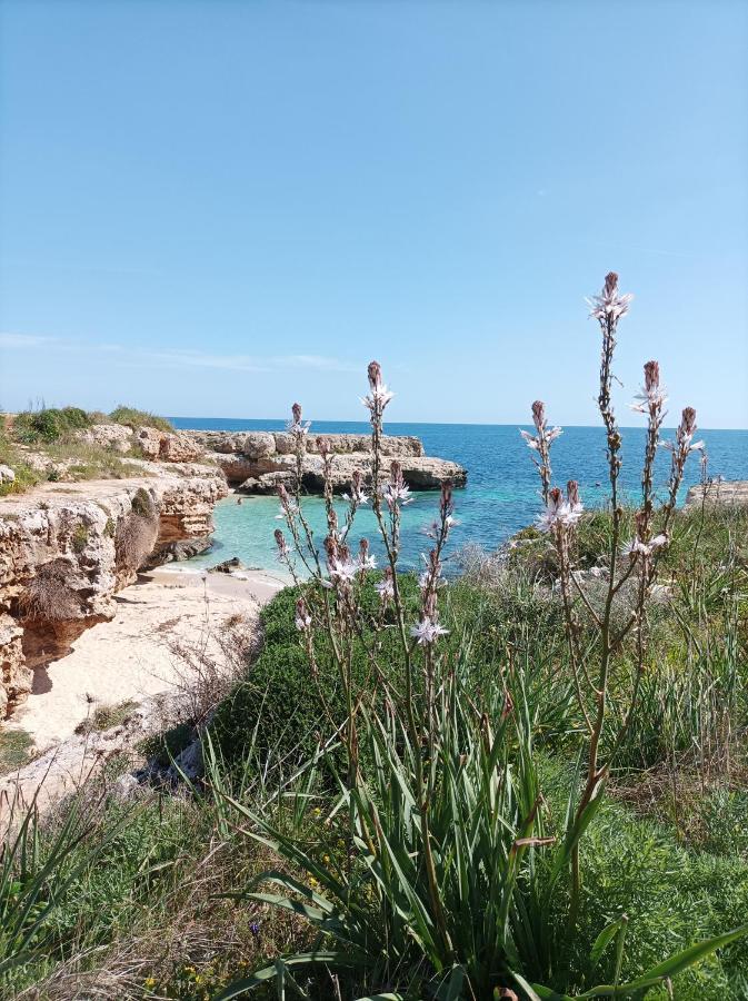 Susca - Sul Mare Villa *