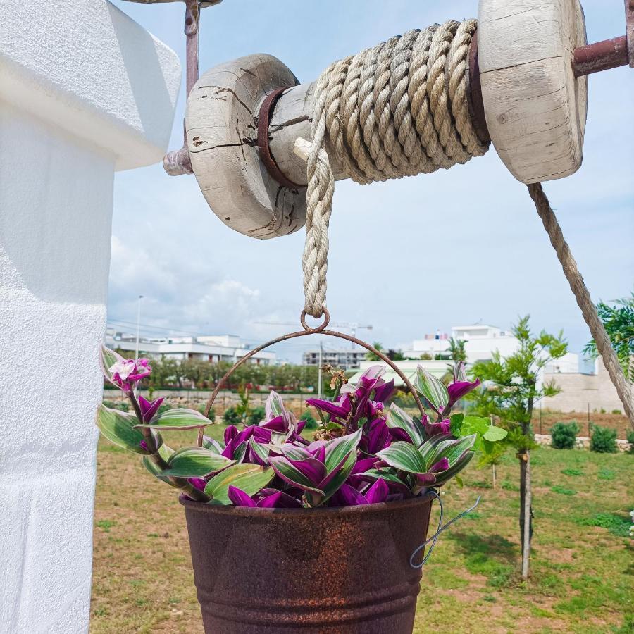 Villa Susca - Sul Mare *