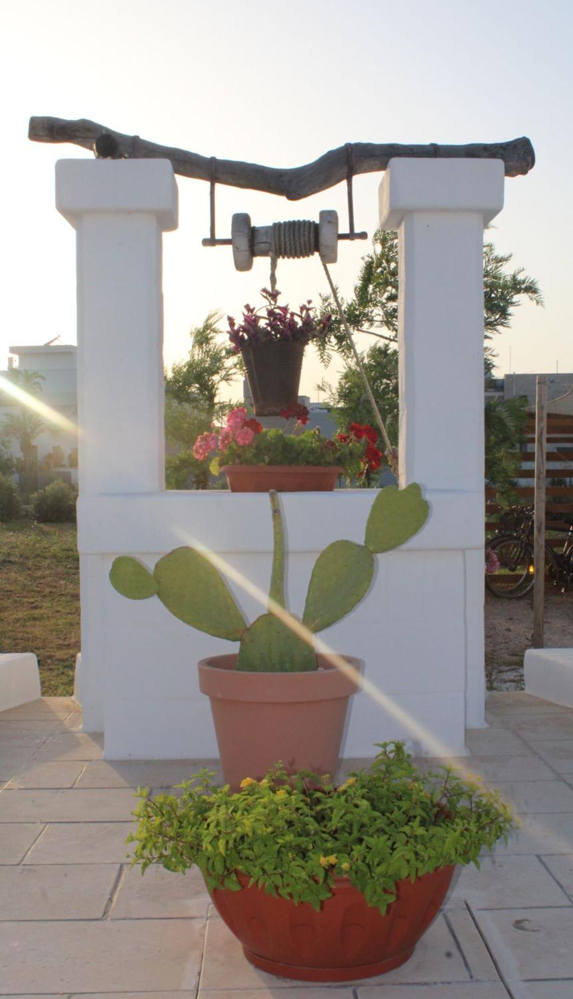 Villa Susca - Sul Mare
